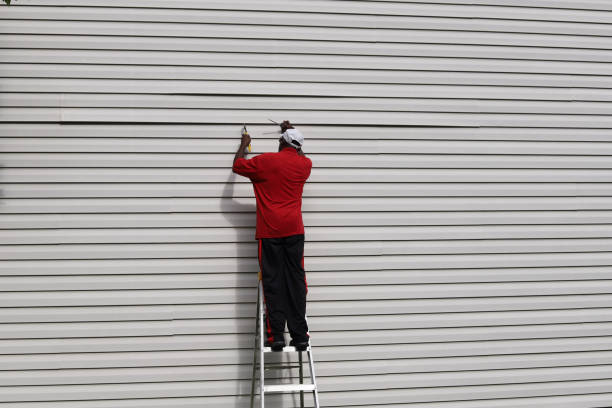 Best Vinyl Siding Installation  in Meridian Hills, IN